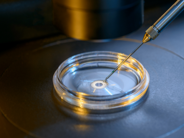 ivf conception fertility man woman conceive parents